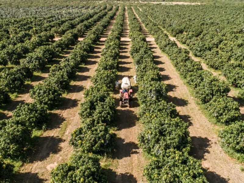 Fazenda à venda em Rural