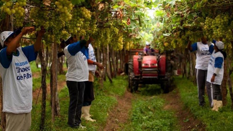 Fazenda à venda em Rural